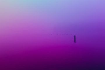 Ultieme leegte door paarse en blauwe mist over de Rijkerswoerdse Plassen van Robert Wiggers