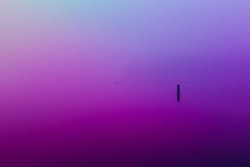 Ultieme leegte door paarse en blauwe mist over de Rijkerswoerdse Plassen