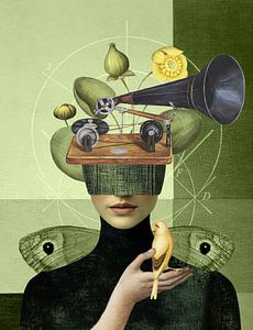 Recordings of Nature