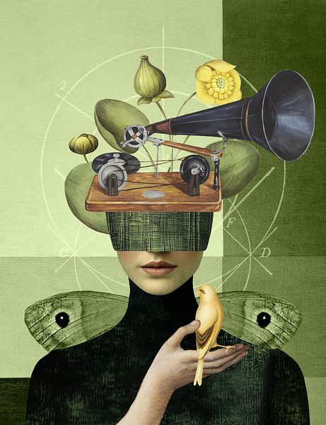 Recordings of Nature von Marja van den Hurk