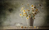 Stilleven 84