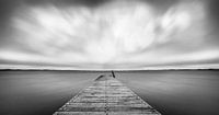 Paysage monochrome