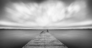 Monochrome Landschaft