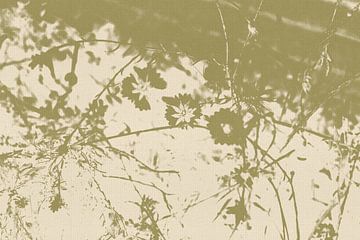 Abstrakte Sommerblumen in Salbei und Weiß. Moderne abstrakte botanische Kunst von Dina Dankers