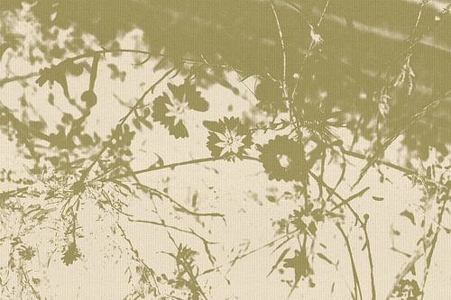 Abstract Summer Flowers in Sage and White. Modern Abstract Botanical Art by Dina Dankers