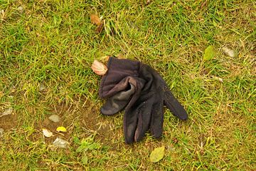 gloves, lost, forgotten by Norbert Sülzner