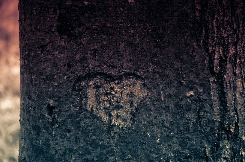 Herz ist auch in der Natur, Baum mit einem Herzzeichen von Pix-Art By Naomi.k