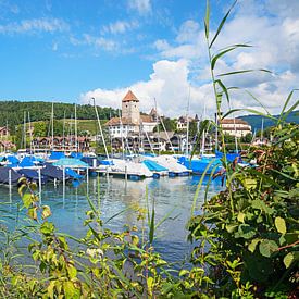 uitzicht vanaf de Thunersee aan de oever van het meer naar de haven van Spiez met boten en hist van SusaZoom