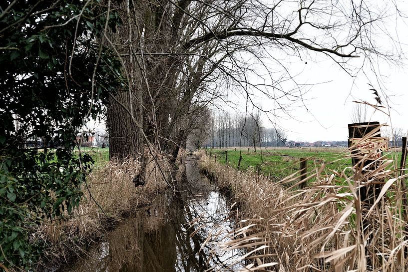 In the field by reivilo fotografie