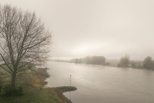 Fluss IJssel in einer nebelverhangenen Landschaft von Sjoerd van der Wal Fotografie