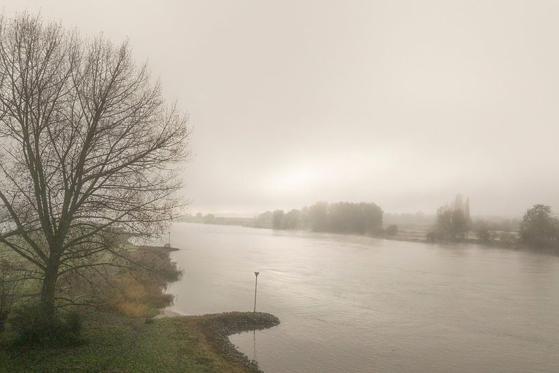 River IJssel in a mist covered landscape by Sjoerd van der Wal Photography