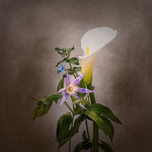 Grazile Blumen - Calla, Clematis, Stern von Jericho | Vintage-Stil