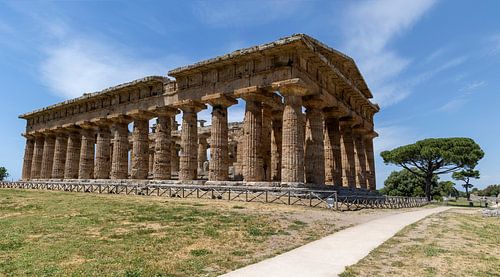 Griekse tempel in Paestum bij Salerno