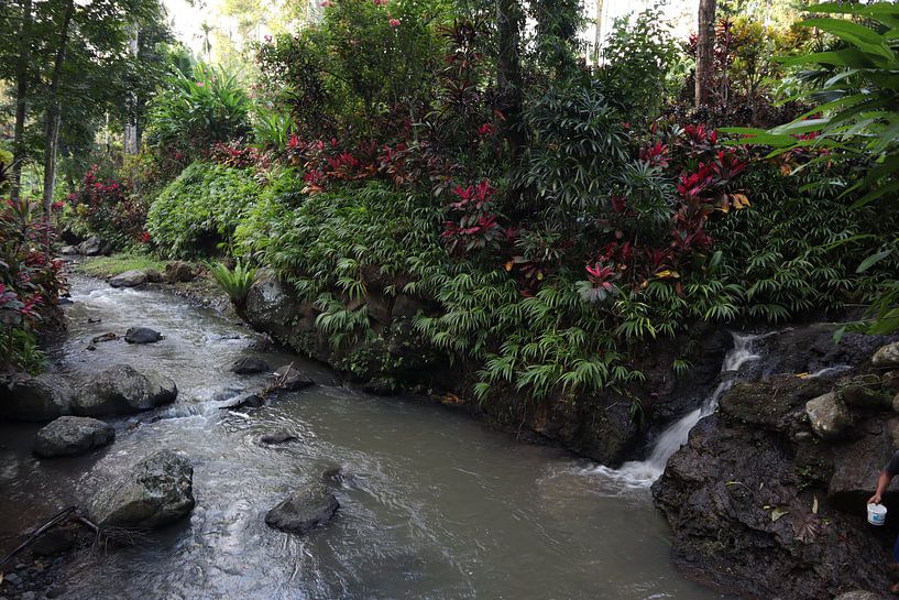 Mini-Landschaft Indonesien von Wesley Klijnstra