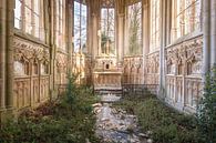 Chapelle abandonnée avec des plantes. par Roman Robroek - Photos de bâtiments abandonnés Aperçu