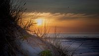Strand Terschelling (1)