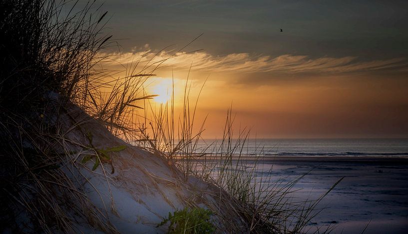 Strand Terschelling (1) von Henk v Hoek
