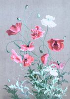 Doux coquelicot