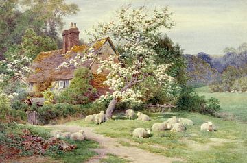 Charles James Adams,Schapen buiten een huisje in de lente