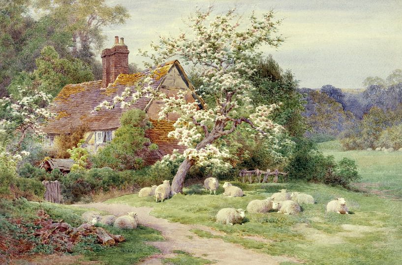 Charles James Adams,Sheep outside a cottage in spring by finemasterpiece