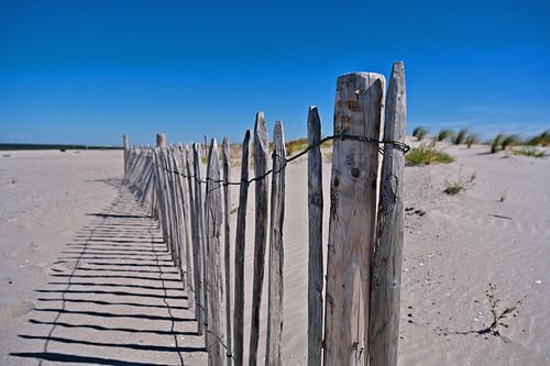 Vasières de marquage