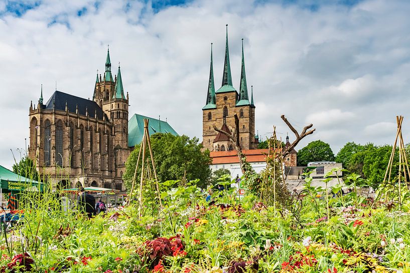 La cathédrale d'Erfurt et l'église St. Severus par Gunter Kirsch