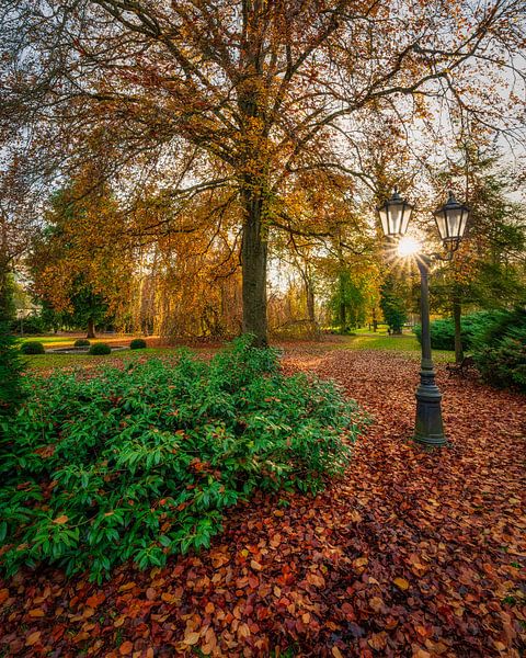 Kurpark von Andre Michaelis