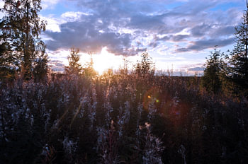 Zweden landschap 1