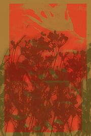 Art botanique abstrait minimaliste dans des couleurs chaudes sur Dina Dankers