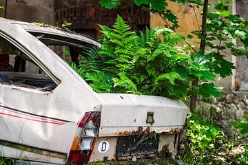 Quand la nature s'invite - Citroën abandonnée sur Gentleman of Decay