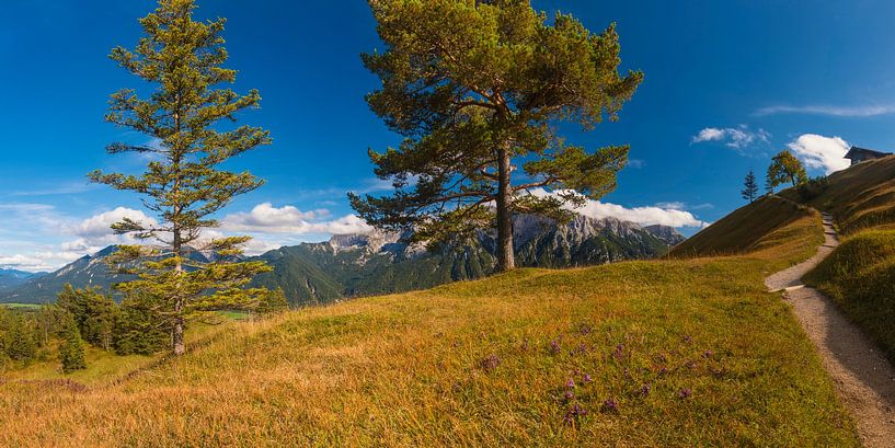 Hoge Kranzberg bij Mittenwald van Walter G. Allgöwer