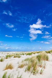 Strand auf Juist