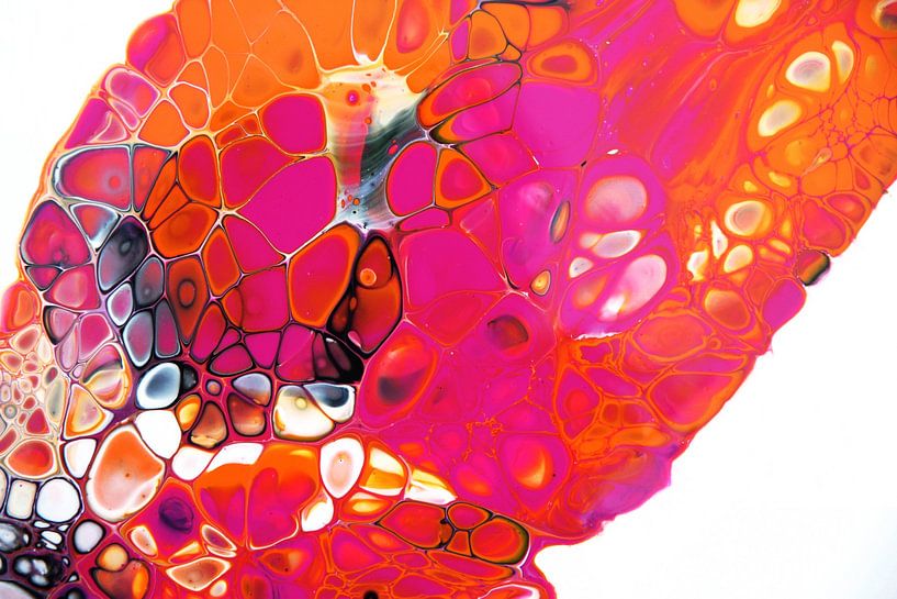 Orange Luck by Joke Gorter