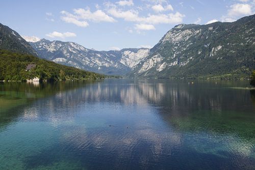 Bohinjer See im Sommer