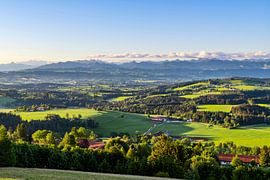 Summer morning in Allgäu by Andreas Föll