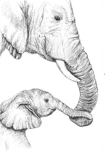 An intimate moment between an elephant and its calf
