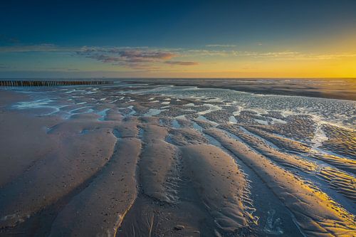 Westenschouwen van Carla Matthee