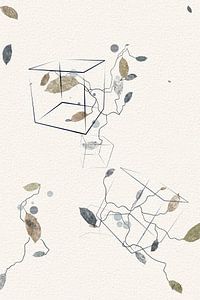 Nature and mathematics