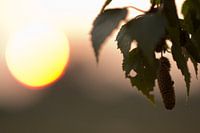 Zonsondergang