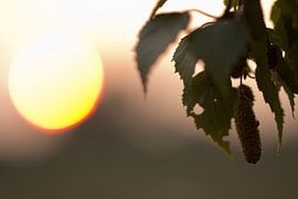 Zonsondergang by Patrick Brouwers