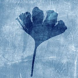 Ginkgo blad in blauw. Moderne botanische minimalistische kunst. van Dina Dankers