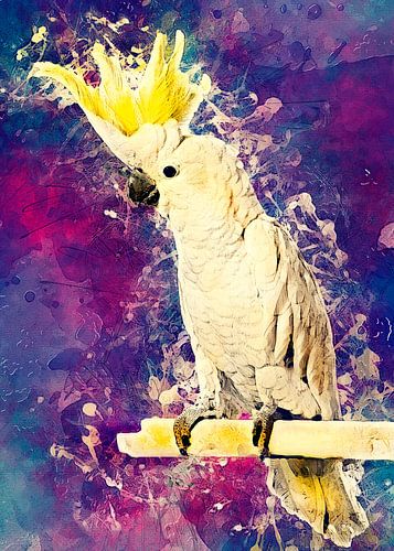 Parrot Kakadu bird #parrot