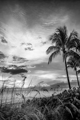 BONITA BEACH Droomachtige zonsondergang | Monochroom