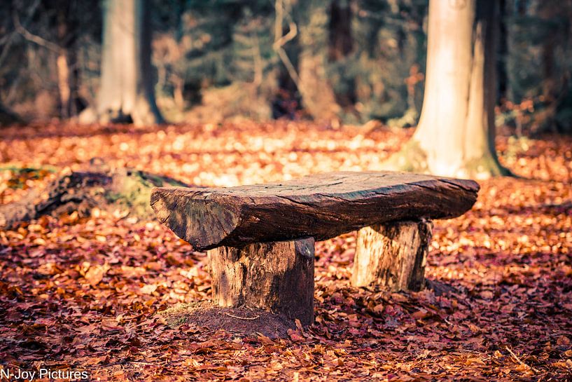 Landscape by N-Joy Pictures