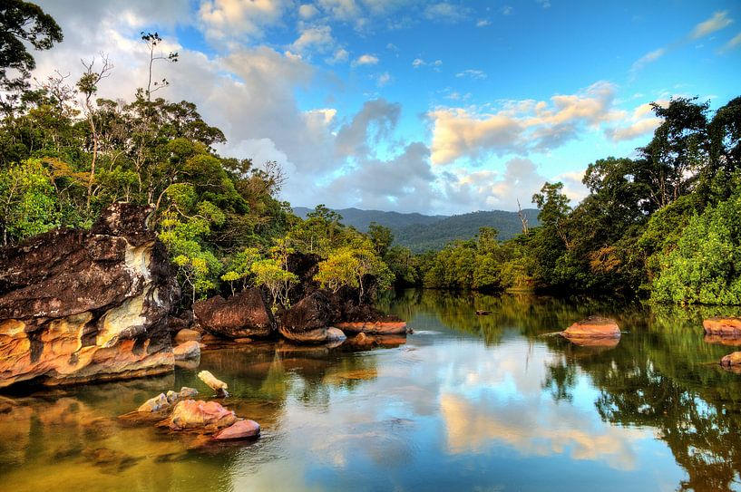 Masoala tropische rivier by Dennis van de Water