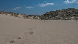 Kennemerduinen, Nord-Holland