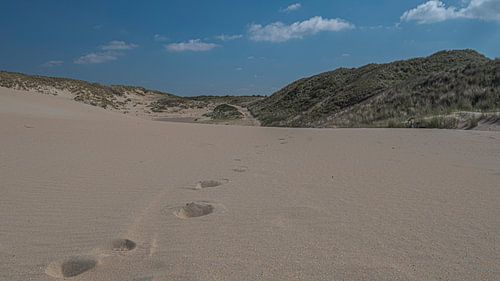 Kennemerduinen, Noord-Holland