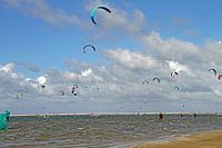 Surfers at the beach
