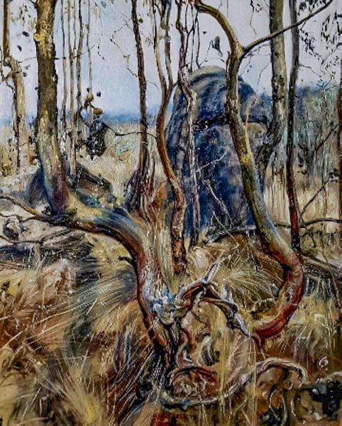 Australie schidery par KB Prints