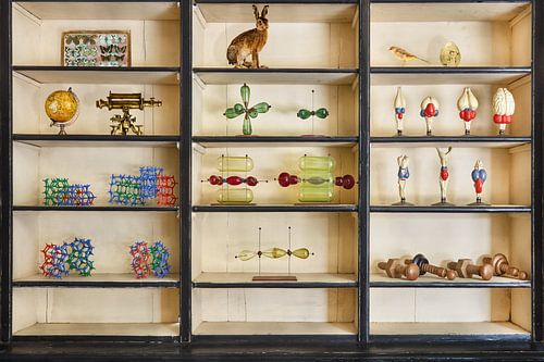 Le cabinet des raretés